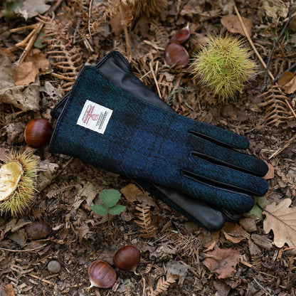 Skye Harris Tweed And Leather Women's Gloves ZG015